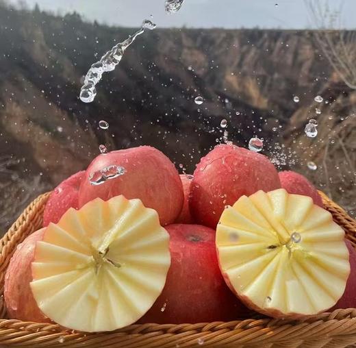 【自营】吉县高山苹果礼盒 昼夜温差酿好味 酸甜适口老少皆宜 商品图1