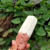 【软糯香甜❗️老少皆宜】山东白哈密白薯面甜红薯番薯蒸烤白薯蜜薯地瓜蜜薯现挖粗粮代餐。jc 商品缩略图3