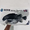 生鲜海鲜【冰岛海参斑】 一条鱼约2-3斤，去鳞、去鳃、去脏，免洗，只有一根软骨 青岛顺丰/京东发货 {冷冻生鲜请及时签收} 商品缩略图5