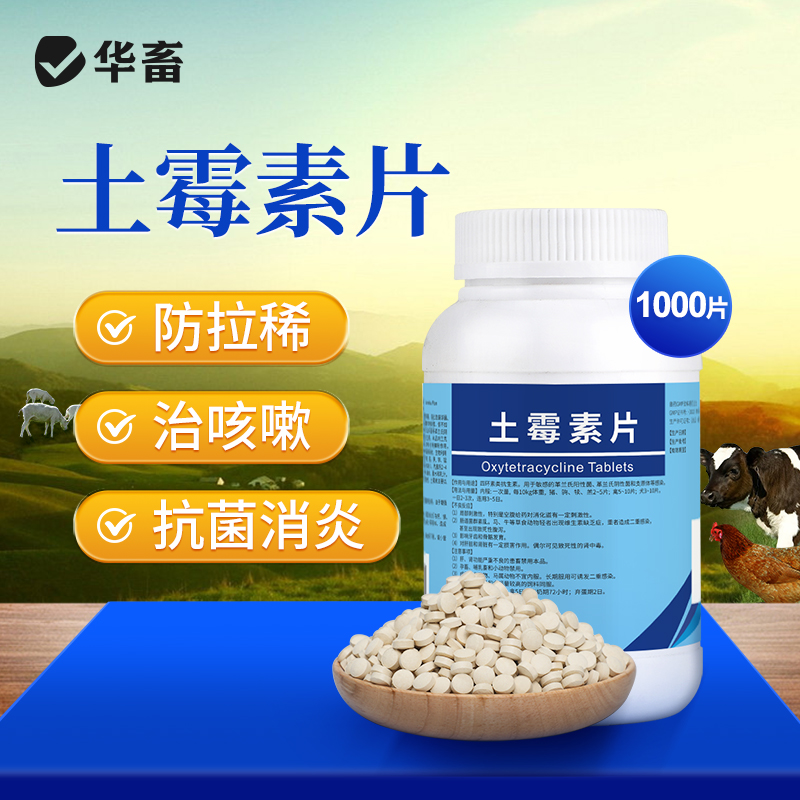 【积分兑换】华畜土霉素片1000片  国标兽药 肠炎腹泻抗菌消炎