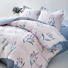 多喜爱 全棉斜纹印花套件【甄选新疆棉】【芬纳诺抗菌】【AB版设计】【宽边枕袋】柔软亲肤 吸湿透气 耐洗耐磨 不易褪色云鸽眠眠/拾光花序/语花瑟/豆蔻紫鸢/浅朵/森派/夏日紫藤 /新域/山野晴风 商品缩略图8