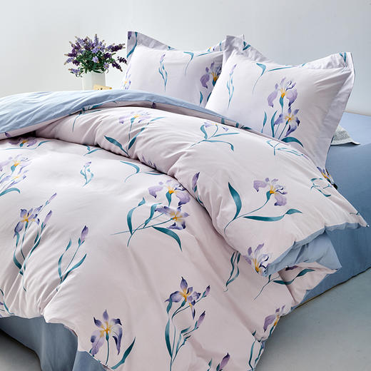 多喜爱 全棉斜纹印花套件【甄选新疆棉】【芬纳诺抗菌】【AB版设计】【宽边枕袋】柔软亲肤 吸湿透气 耐洗耐磨 不易褪色云鸽眠眠/拾光花序/语花瑟/豆蔻紫鸢/浅朵/森派/夏日紫藤 /新域/山野晴风 商品图8