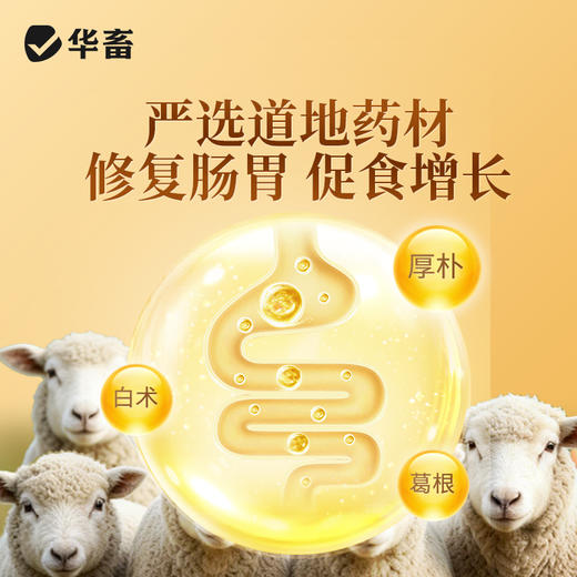 华畜全驱净中药驱虫健胃增食体内外双驱线虫绦虫吸虫安全不伤肠胃见效快 商品图4