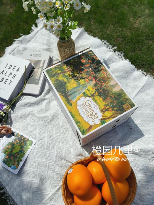橙园几里赣南脐橙礼盒 商品图2