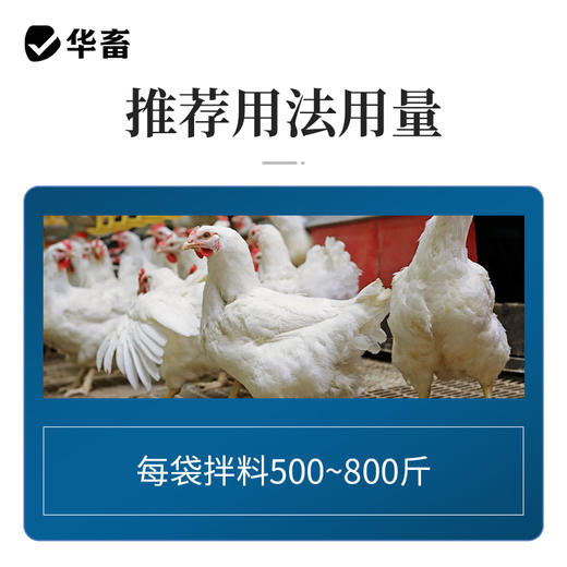 华畜扶正解毒散2斤装 扶正祛邪 清热解毒 增免疫 禽药抗病毒 商品图3