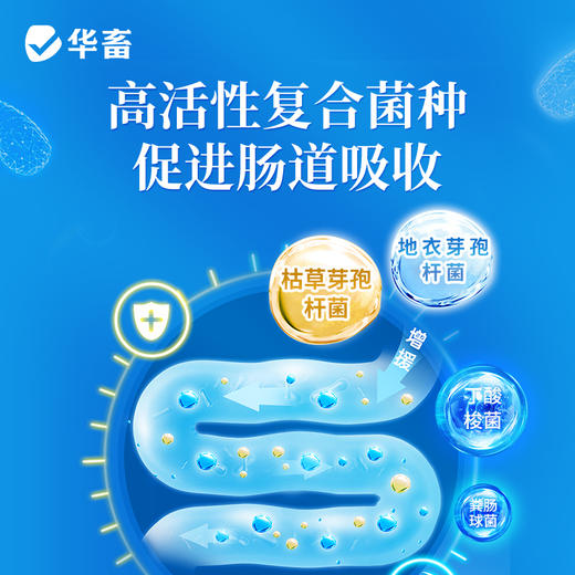淘牧 肥霸1kg 富含半胱酰胺直接催肥 添加复合菌种 加快吸收 长肉快 早出栏 商品图1