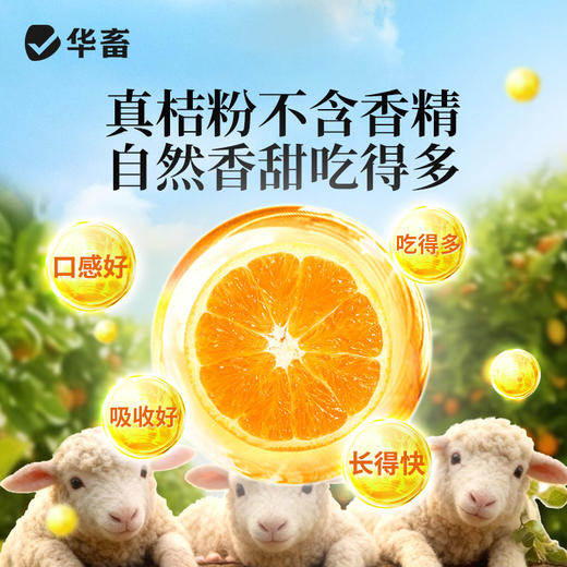 华畜健胃桔子粉维生素开胃健胃促食猪牛羊禽用催肥调理肠胃促生长 商品图4