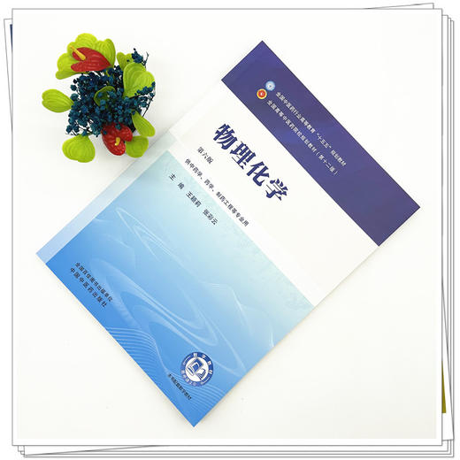 物理化学 王颖莉 张彩云 主编 第六版 全国中医药行业高等教育十五五规划教材 第十二版 中国中医药出版社 商品图1