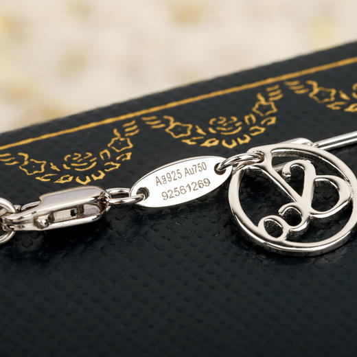 彩宝系列-雏菊满钻项链（XTY） 商品图7