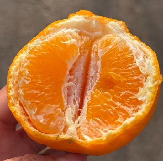 源心春见耙耙柑 商品图1