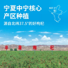 【益品良食】早康浓鲜枸杞原浆300ml宁夏中宁鲜枸杞直接喝鲜果枸杞汁液 商品缩略图3