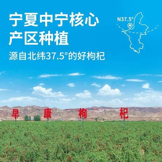 【益品良食】早康浓鲜枸杞原浆300ml宁夏中宁鲜枸杞直接喝鲜果枸杞汁液 商品图3