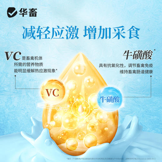 华畜冰爽VC 加醋冒泡才是真解暑 禽畜孕畜通用 商品图3