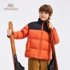 【英氏】【110-180】三防男童羽绒服拼色立领外套 商品缩略图7