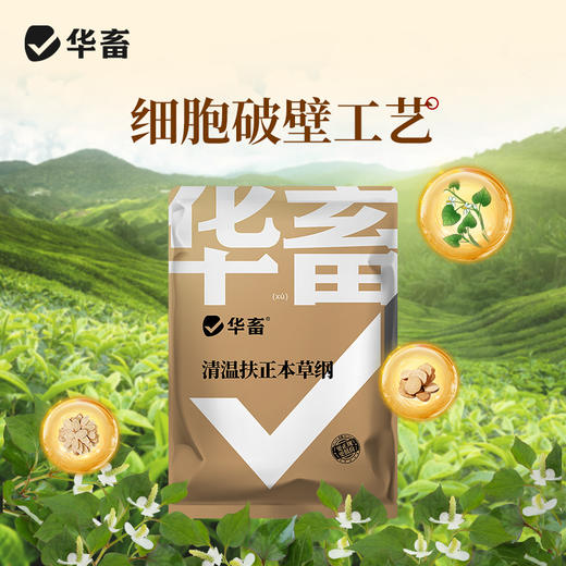 华畜扶正本草纲4斤装 扶正祛邪 清热解毒 畜禽感冒 商品图3