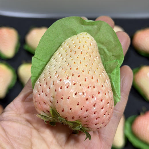 淡雪冰激凌草莓-礼盒 商品图2