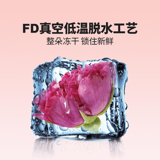 花田玑密冻干玫瑰鲜花茶【山东必买好品】 商品图3