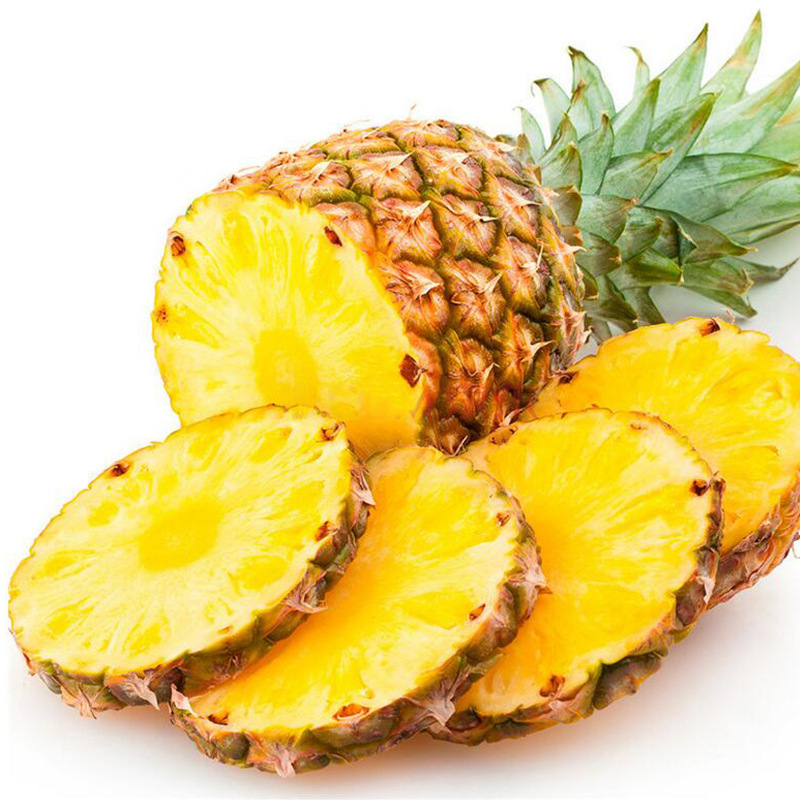 海南金钻凤梨