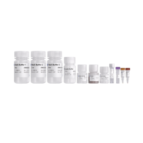 VAMNE Magnetic Cell/Tissue Total RNA Kit