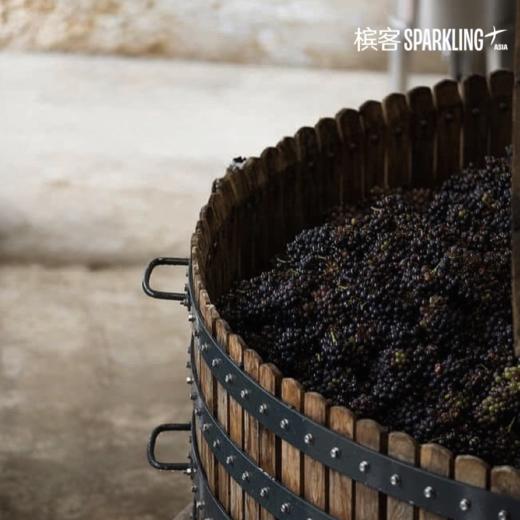 A.Lamblot  La Coroche 2019  朗布罗科洛香槟 2019 商品图3