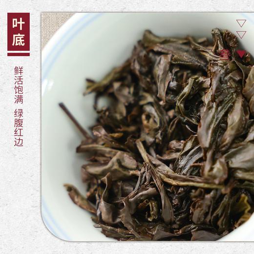 【山纯限品】2026年044燕子窠肉桂17g 商品图4