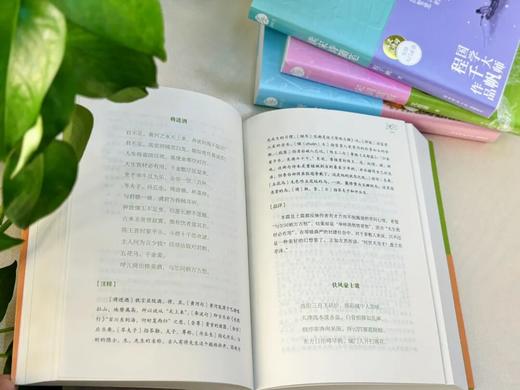 《程沈说诗词》礼盒钤印版（全4册），程沈说诗词，一代国人的诗词之梦， 商品图4