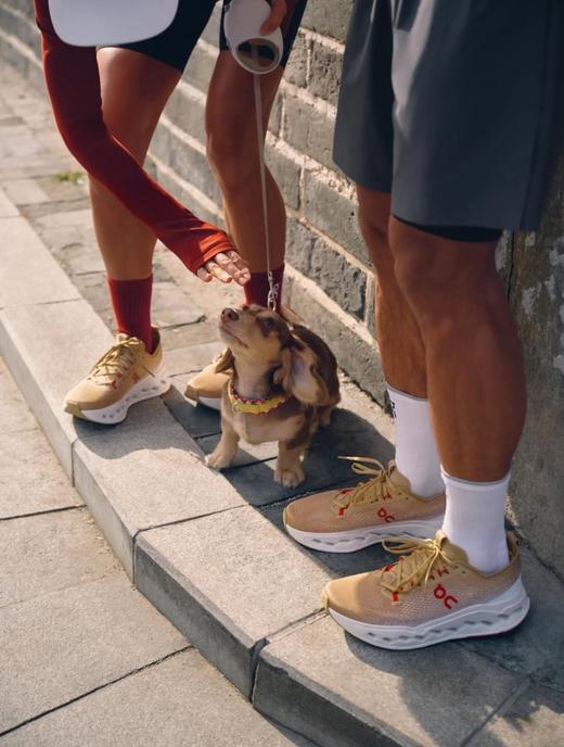 官网在售1490软妹币  on昂跑 马年限定缓震训练运动休闲运动鞋跑鞋 商品图4