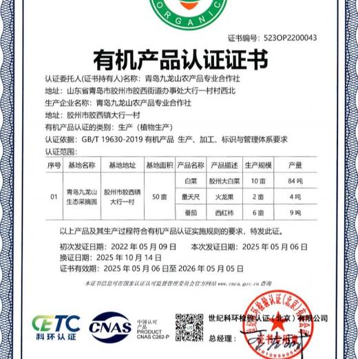 丨有机丨青岛胶州大白菜 生食甘甜清脆 熟食风味甘美  地理标志 商品图8