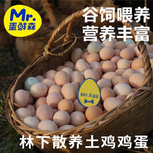 【肥西黄油老母鸡 金奖土鸡蛋】安徽肥西名鸡，优选中国原种土鸡 科学散养健康品质 买2送1 商品图5