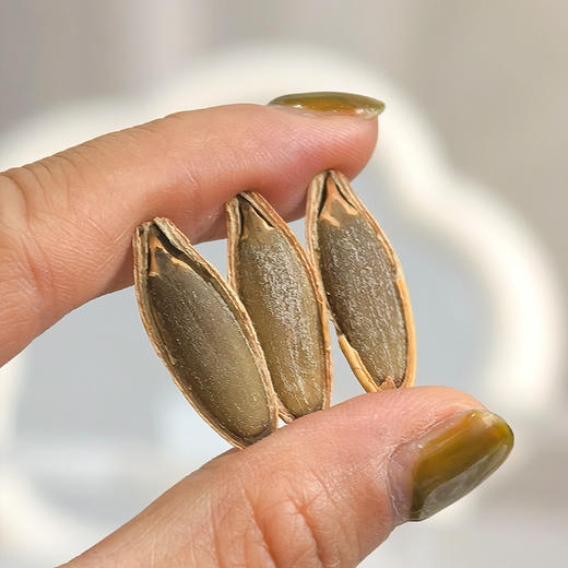 【我核你】新疆美人甲瓜子 五香南瓜子 粒大干净 配料简单 一嗑就沦陷 越嗑越上头 商品图8