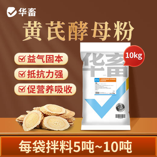 黄芪酵母粉20斤 益气固本补营养促吸收 商品图0