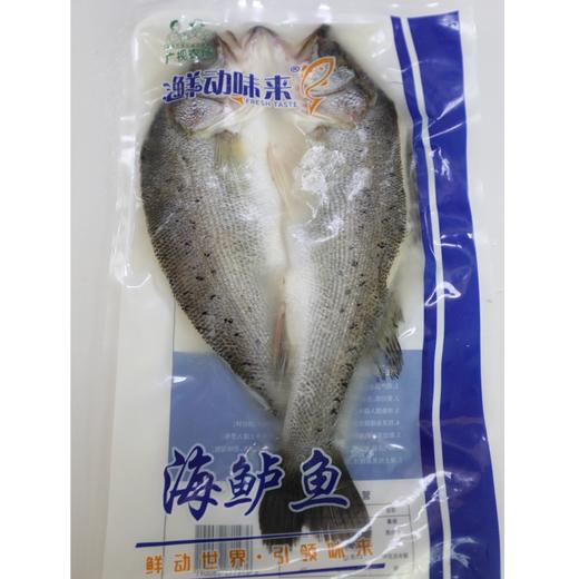 【海鲈鱼】精品无冰三去海鲈鱼每条500-600克 商品图0