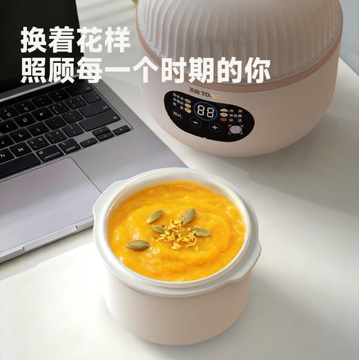 天际（TONZE）电炖锅 电炖盅 燕窝隔水炖锅 婴儿bb煲母婴辅食熬粥 煲汤锅炖汤锅小粉炖 0.8L 小粉炖GSD-8BG 商品图4