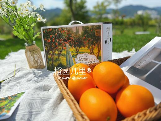 橙园几里赣南脐橙礼盒 商品图3