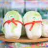 丨有机丨青岛胶州大白菜 生食甘甜清脆 熟食风味甘美  地理标志 商品缩略图0