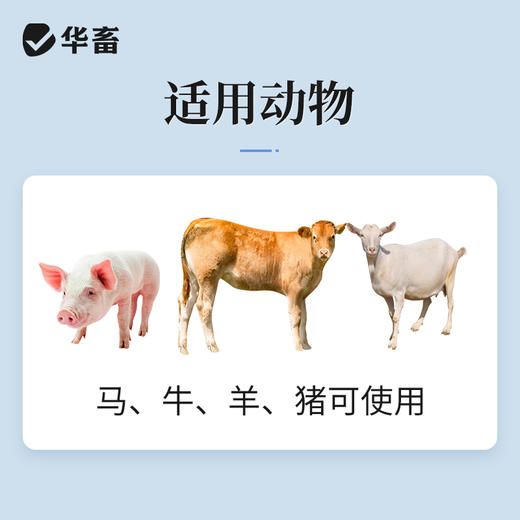 华畜兽药酚磺乙胺注射液止血敏马牛羊猪外科手术后出血止血内出血 商品图2