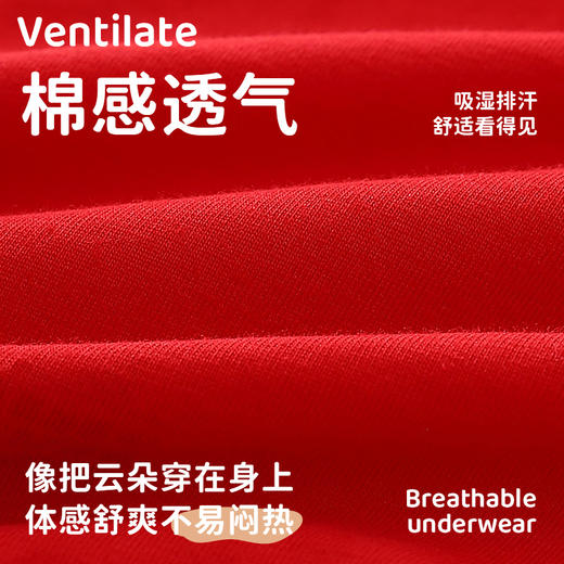 小男生春节内裤 商品图4