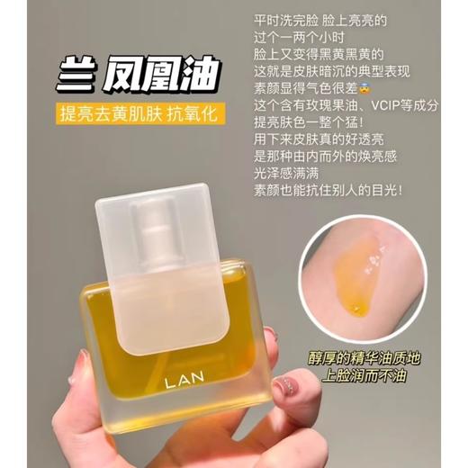 LAN兰藏蕴焕白淡斑精萃油30ml/瓶（凤凰油） 商品图1