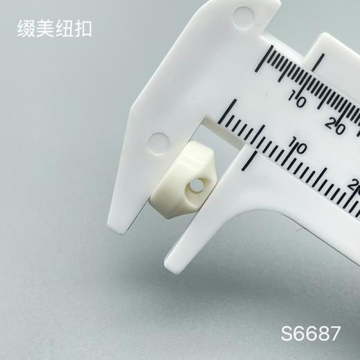 S6687(整包购买) 商品图3