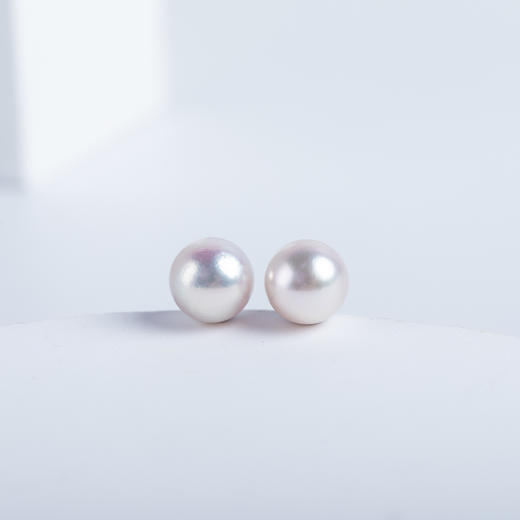 AKOYA珍珠耳钉 ED111 商品图1