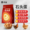 华畜 石头蛋 蛋多蛋大硬度高品质好 商品缩略图0