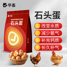 华畜 石头蛋 蛋多蛋大硬度高品质好