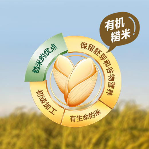 正耕 糙米核桃奶200ml*8支 商品图2