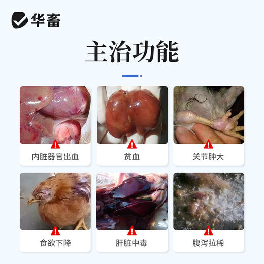 华畜25%维生素C可溶性粉 预防应激 提升免疫力 进口溶剂 吸收更好 禽兽水产用 商品图1