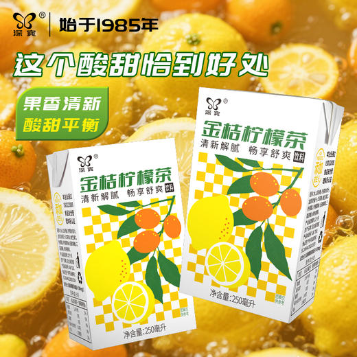 深宝 金桔柠檬茶250ml*24 商品图4