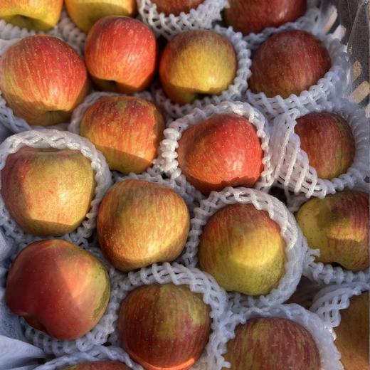 大凉山福布瑞斯苹果【净重约5斤】～我很丑，但是我有甜蜜的温柔~因为生态种植，所以表皮斑斑点点，但我是个有真正苹果味儿的苹果，洗完马上一股清甜的苹果香扑鼻而来，果皮薄，口感脆爽，香甜多汁。 商品图0