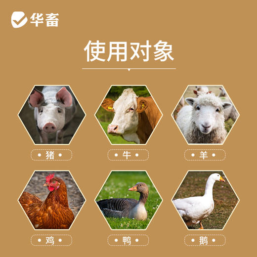 华畜葡萄糖粉5公斤装 增强抵抗力 补充体能 抗应激 禽畜通用 商品图2