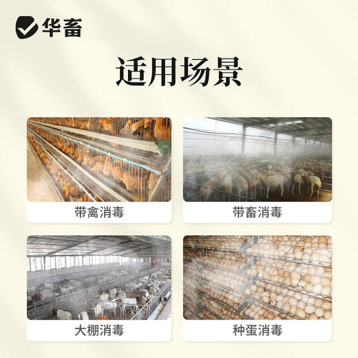 华畜烟熏消毒散兽用猪牛羊鸡舍烟熏王剂养殖场烟雾熏蒸消毒添加剂 商品图1