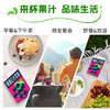 深宝 黑加仑汁 250mlx24 商品缩略图2