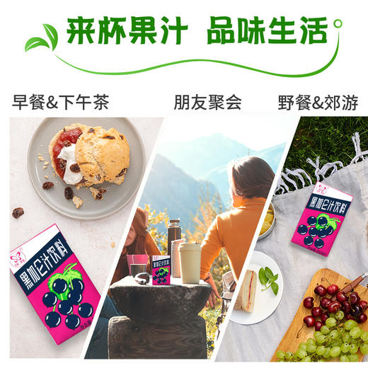 深宝 黑加仑汁 250mlx24 商品图2